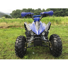 Sport ATV Quad 110cc mit vollautomatischen Getriebe für Kinder